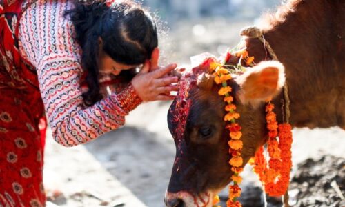 कार्तिक शुक्ल प्रतिपदा : गरियो गोवर्धन पूजा