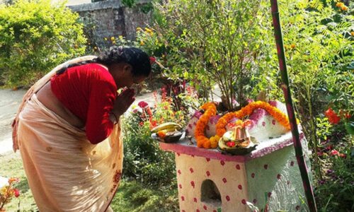 तुलसी र दामोदरको विवाह गरी मनाइयो हरिबोधिनी एकादशी पर्व