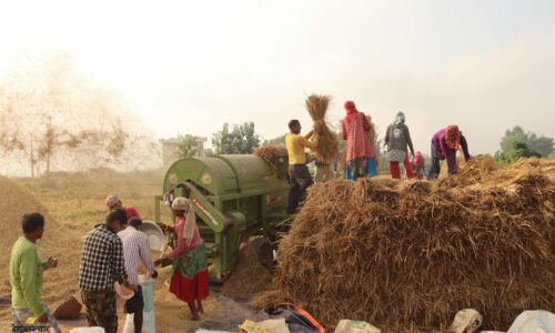 बाढीपहिरोले क्षति पु-याउँदा यस वर्ष बागमती प्रदेशमा धान उत्पादन घट्यो