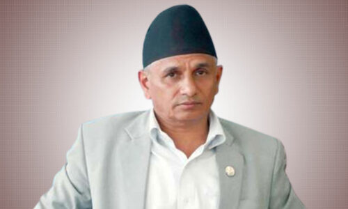 निजामती विधेयकसम्बन्धी उपसमितिको प्रतिवेदनमाथि छलफल :प्रमुख सचेतक पाण्डे