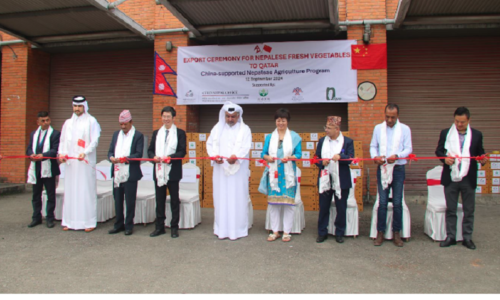 नेपालमा उत्पादित तरकारी कतार निर्यात गर्न सुरु