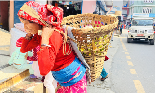 घर खर्च जुटाउन अम्बा बिक्री गरेर नुनतेलको जोहो