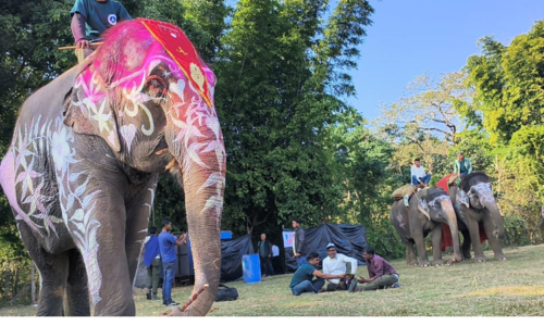 हात्ती सुन्दरी प्रतियोगिताको उपाधि २५ वर्षीया ‘बिजुलीकलीलाई