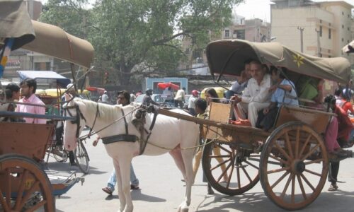 टाँगाले वीरगञ्जको मुख्य बजार क्षेत्रमा ट्राफिक व्यवस्थापनमा चुनौती थप्दै