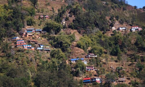 गाउँले सुविधा खोज्दै शहरमा, बस्तीमा वन्यजन्तुको रजाइँ’