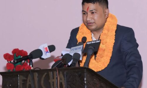 छापा पत्रकारिता: सम्भावना र रणनीति