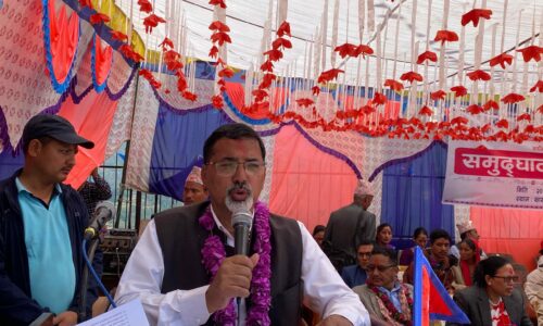 ‘सत्ता केन्द्रित राजनीतिले देशलाई थिलोथिलो पारिरहेको छ’ :जनार्दन शर्मा