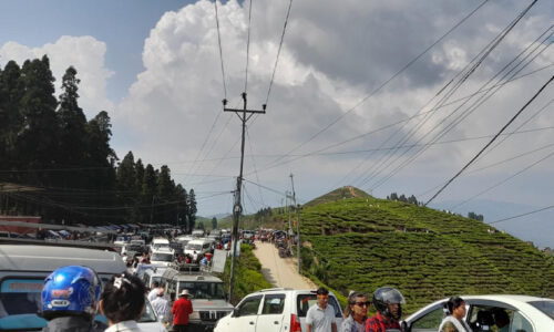 कोशीमा पर्यटन वर्ष सुरूसँगै, पर्यटकको चहलपहल बढ्यो