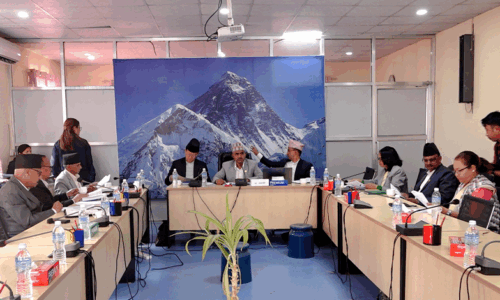 नीति तथा कार्यक्रममा समावेश गर्नुपर्ने विषयमा संसदीय समितिको सुझाव