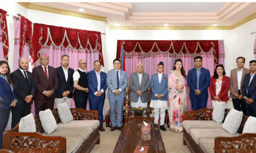एनआरएनएका अग्रजहरुले समस्याको निकास निकाली विधिपूर्वक प्रक्रियामा लैजानुपर्छः राष्ट्रपति पौडेल
