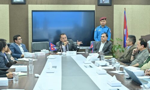 वन डढेलो नियन्त्रणका लागि कार्ययोजना बनाएरै लाग्नुपर्नेमा जोड